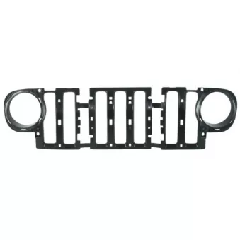 Grille de radiateur BLIC 6502-07-3256990P