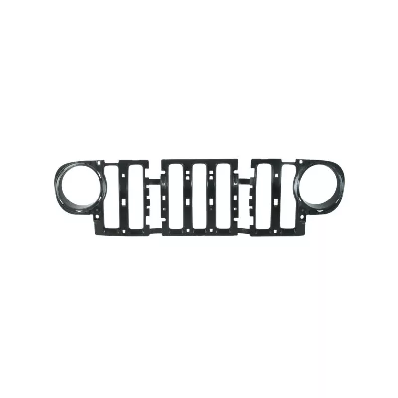 Grille de radiateur BLIC 6502-07-3256990P