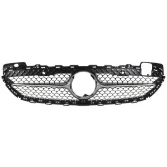 Grille de radiateur BLIC 6502-07-3522993CP