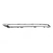 Baguette et bande protectrice, grille de radiateur BLIC 6502-07-3536991P - Visuel 2