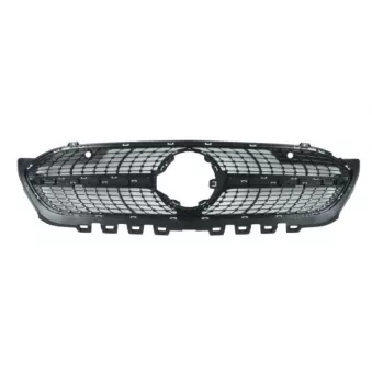 Grille de radiateur BLIC 6502-07-3570991P