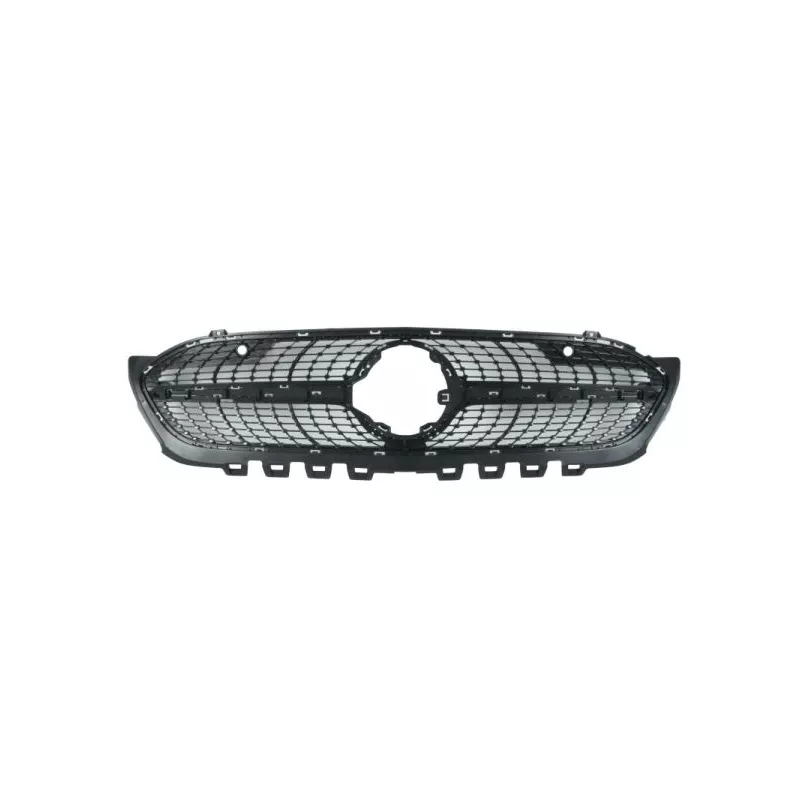 Grille de radiateur BLIC 6502-07-3570991P