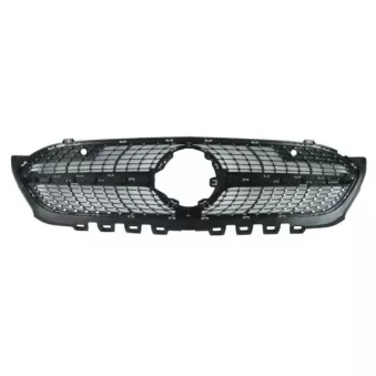 Grille de radiateur BLIC 6502-07-3570992P