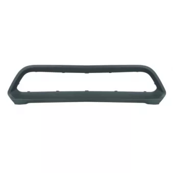 Grille de ventilation, pare-chocs BLIC 6502-07-4004912P