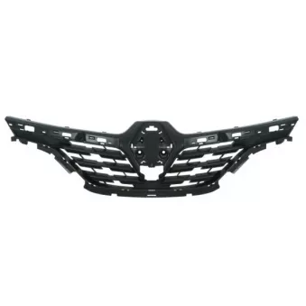 Grille de radiateur BLIC 6502-07-6013991P