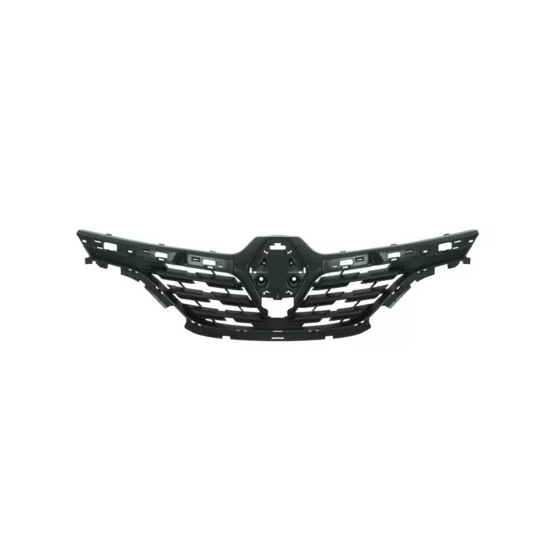 Grille de radiateur BLIC 6502-07-6013991P