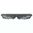 Grille de radiateur BLIC 6502-07-6049990P - Visuel 1