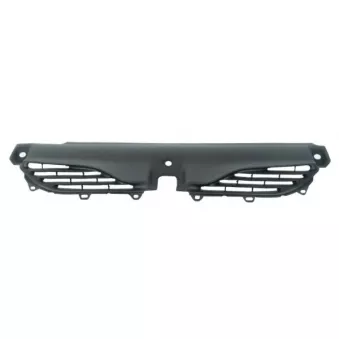 Grille de radiateur BLIC 6502-07-6049990P