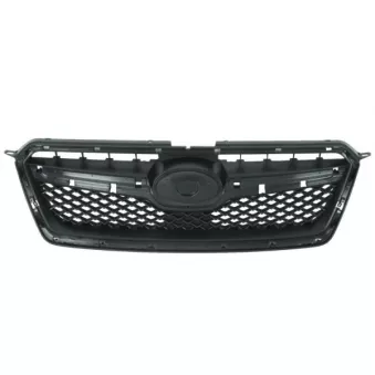 Grille de radiateur BLIC 6502-07-6735998P