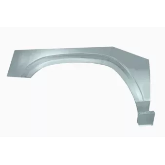 Doublure d'aile avant droit BLIC 6504-03-1647588P