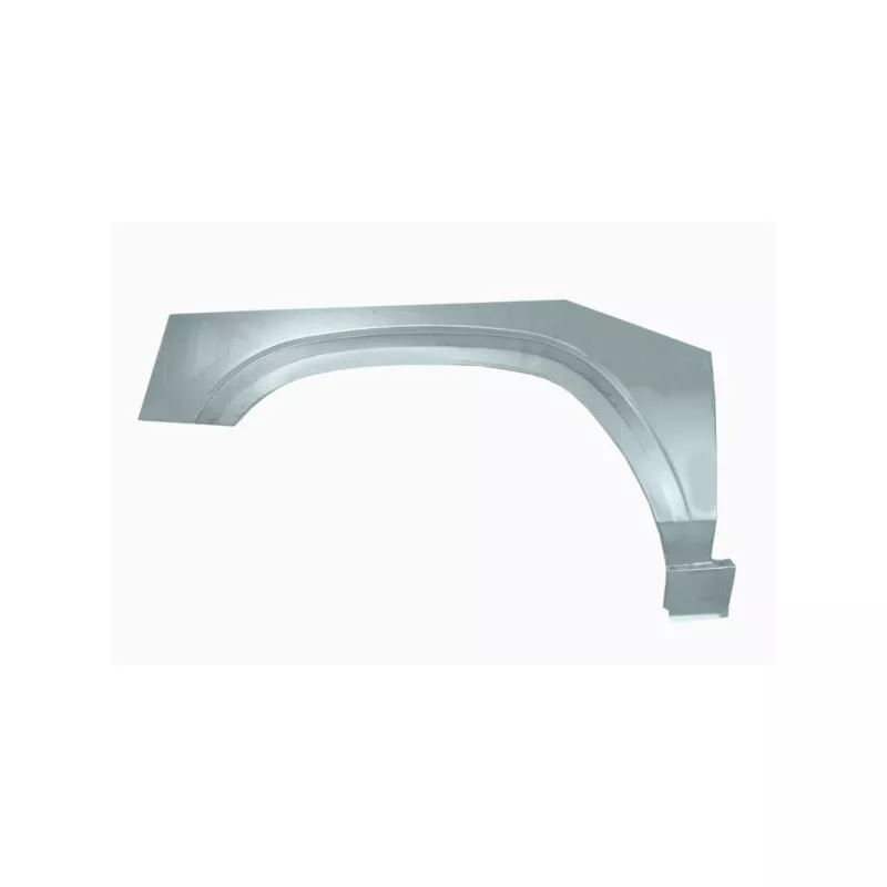 Doublure d'aile avant droit BLIC 6504-03-1647588P