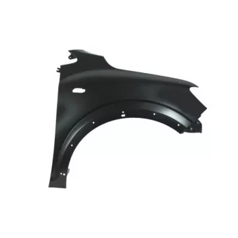 Aile avant droit BLIC