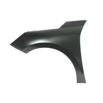 Aile avant gauche BLIC