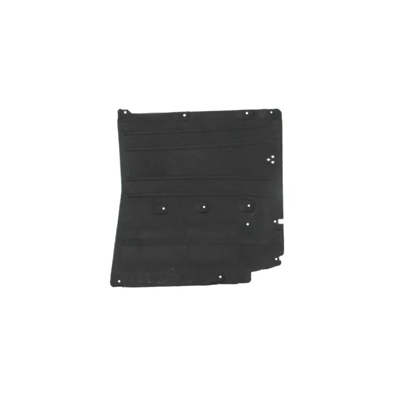 Cache moteur BLIC 6601-02-0068984P