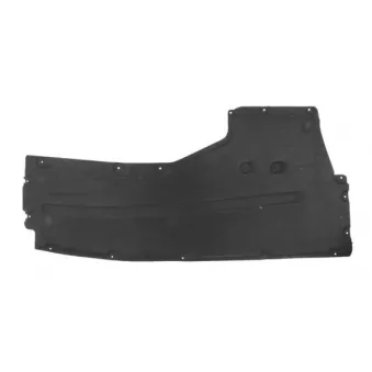 Cache moteur avant droit BLIC 6601-02-0068986P