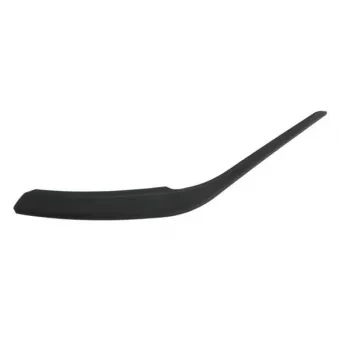 Poignet de porte, équipment intérieur BLIC 8800-00-0118202P