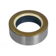 Bague d'étanchéité, différentiel BTA B05-AG-359 - Visuel 1
