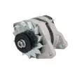Alternateur STARDAX STX100354R - Visuel 1
