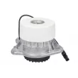 Support moteur avant gauche REINHOCH RH11-3131 - Visuel 1
