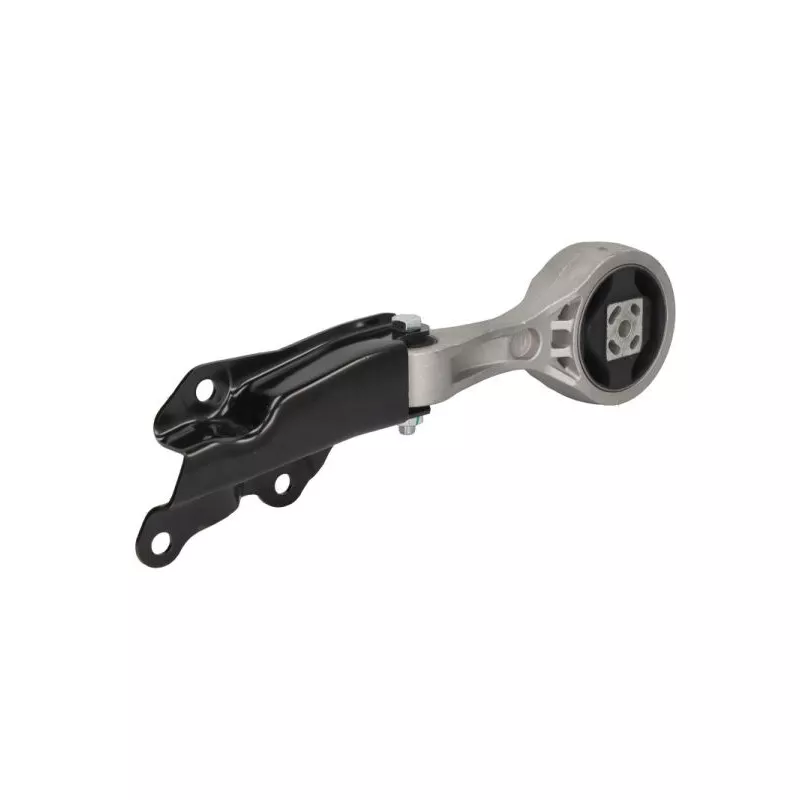 Support, suspension du moteur REINHOCH RH12-0044