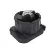 Suspension, boîte automatique REINHOCH RH12-3025 - Visuel 1