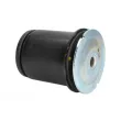 Suspension, corps de l'essieu REINHOCH RH20-1009 - Visuel 2