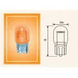 Ampoule, feu clignotant MAGNETI MARELLI 002052300000 - Visuel 1