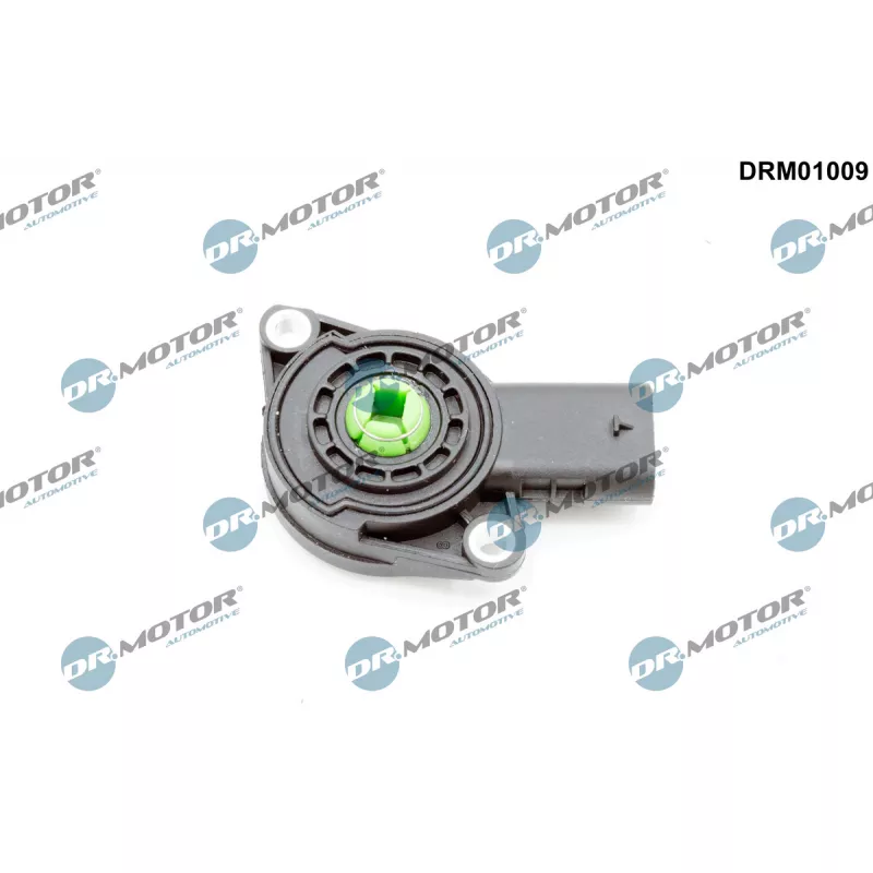 Capteur, volet inverseur du tuyau d'admission Dr.Motor DRM01009