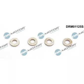 Kit de joints, injecteur Dr.Motor DRM01125S