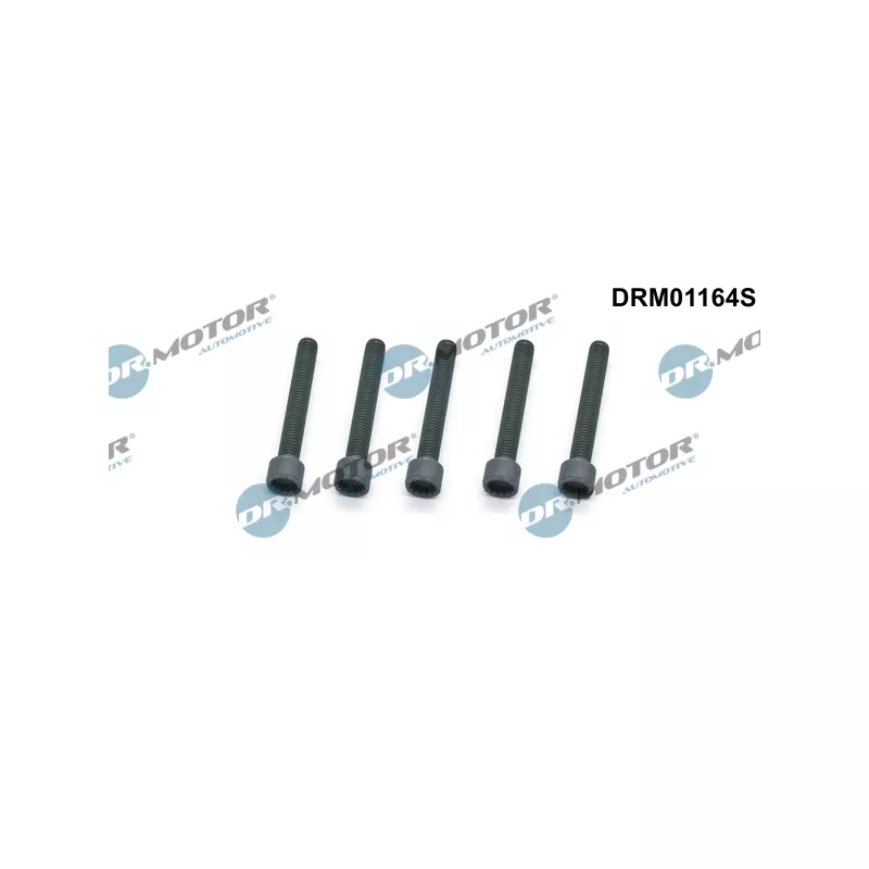 Vis, support pour controleur d'injecteurs Dr.Motor DRM01164S