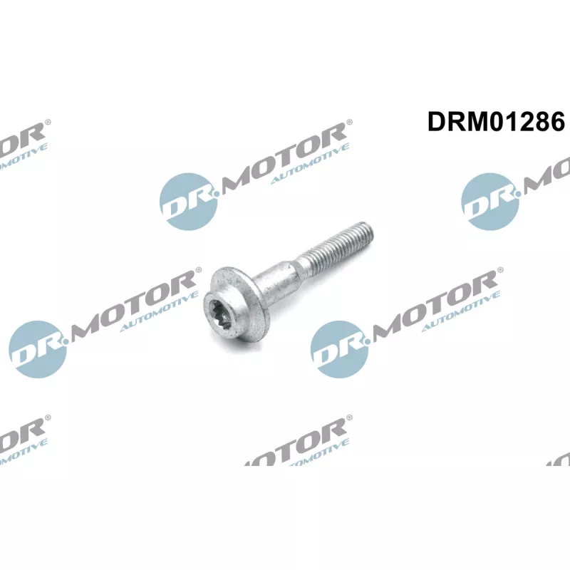 Vis, support pour controleur d'injecteurs Dr.Motor DRM01286