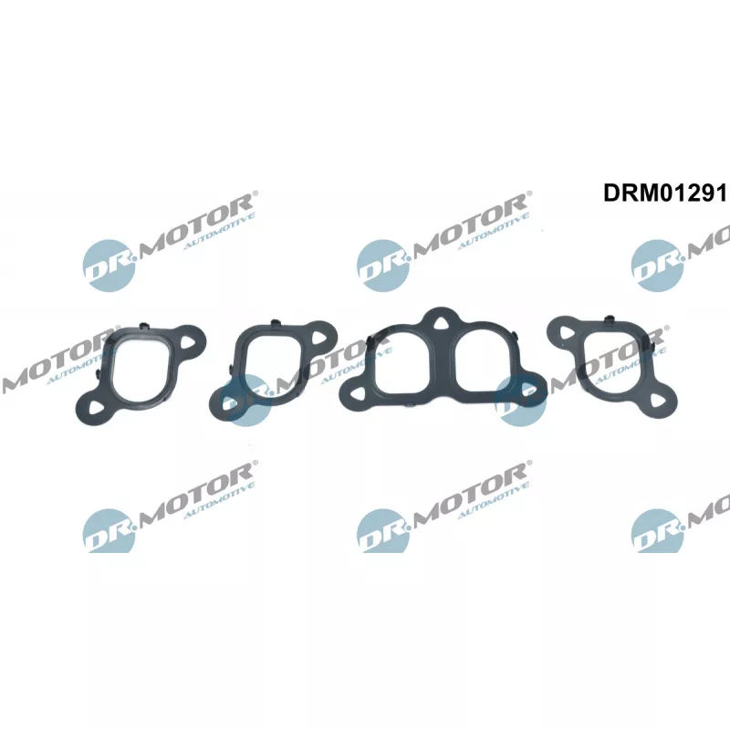 Jeu de joints d'étanchéité, collecteur d'admission Dr.Motor DRM01291