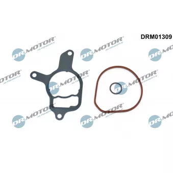 Jeu de joints, pompe à vide Dr.Motor DRM01309