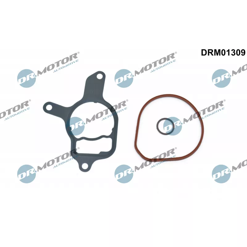 Jeu de joints, pompe à vide Dr.Motor DRM01309