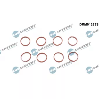 Jeu de joints d'étanchéité, collecteur d'admission Dr.Motor DRM01323S