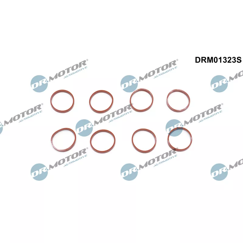 Jeu de joints d'étanchéité, collecteur d'admission Dr.Motor DRM01323S