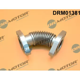 Tuyauterie, vanne EGR Dr.Motor DRM01381