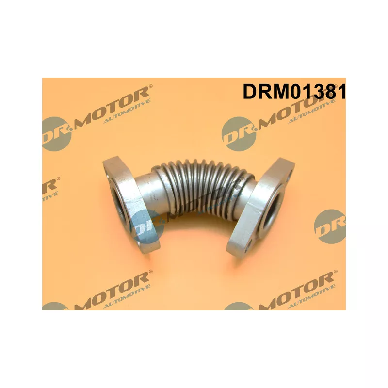 Tuyauterie, vanne EGR Dr.Motor DRM01381