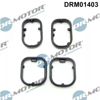 Kit de joints, radiateur d'huile Dr.Motor DRM01403