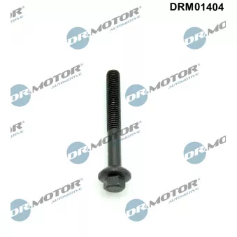 Vis, support pour controleur d'injecteurs Dr.Motor DRM01404