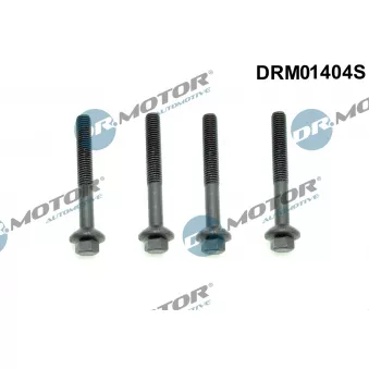 Vis, support pour controleur d'injecteurs Dr.Motor DRM01404S