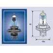 Ampoule, projecteur longue portée MAGNETI MARELLI 002585100000 - Visuel 1