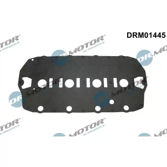 Joint de cache culbuteurs Dr.Motor DRM01445