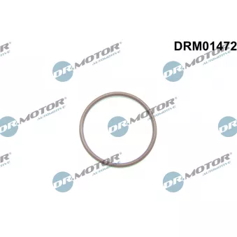 Joint d'étanchéité, pompe à carburant Dr.Motor DRM01472