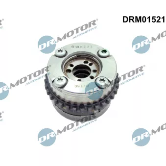 Dispositif de réglage électrique d'arbre à cames Dr.Motor DRM01521