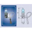 Ampoule, projecteur antibrouillard MAGNETI MARELLI 002604100000 - Visuel 1