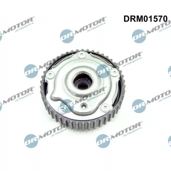 Dispositif de réglage électrique d'arbre à cames Dr.Motor DRM01570
