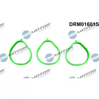 Jeu de joints d'étanchéité, collecteur d'admission Dr.Motor DRM01601S