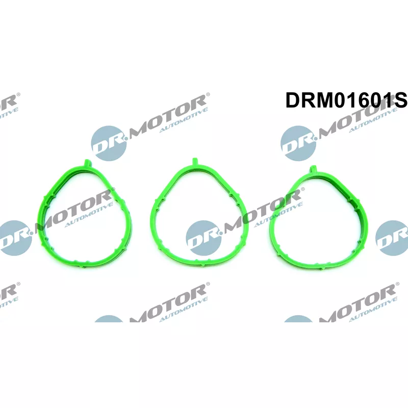 Jeu de joints d'étanchéité, collecteur d'admission Dr.Motor DRM01601S