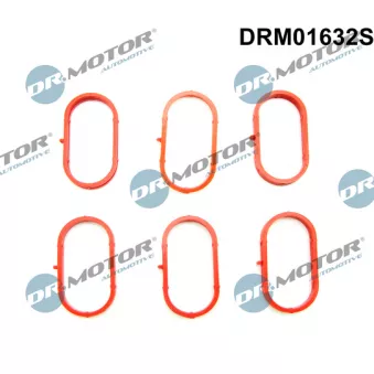 Jeu de joints d'étanchéité, collecteur d'admission Dr.Motor DRM01632S